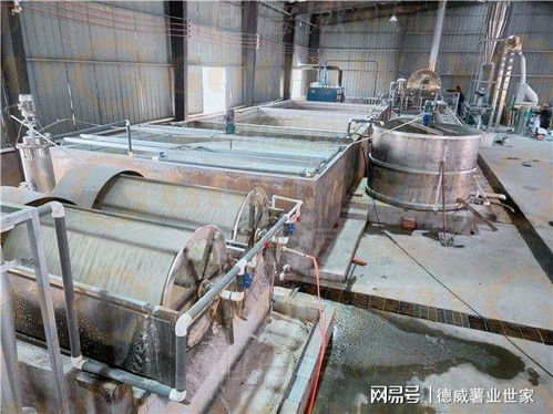 紅薯淀粉加工全流程與關(guān)鍵參數(shù)解析 從設(shè)備選型到出粉率優(yōu)化